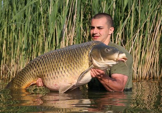 Secretele lui Bogdan Dragan